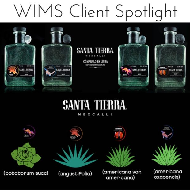 Santa Tierra Mezcal